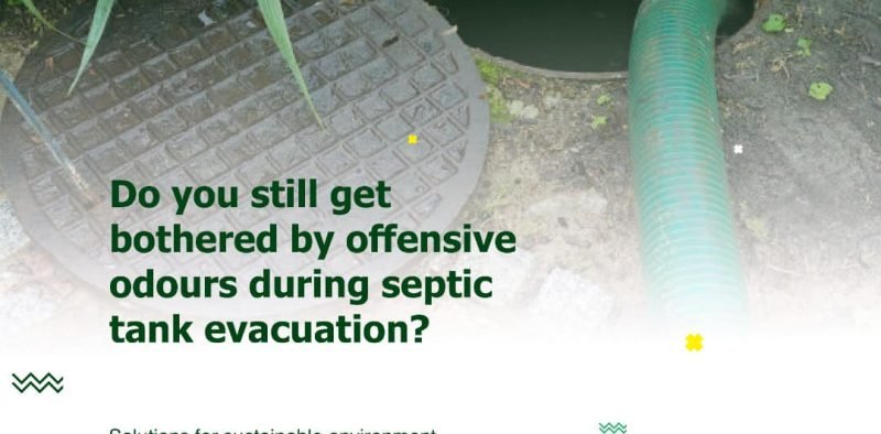 241713649_228997092505848_2810727503249371231_n