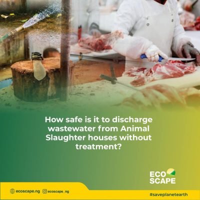 244579237_244807854258105_8275551212031231434_n