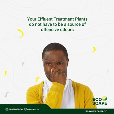 247885155_254990419906515_8010972967662537563_n